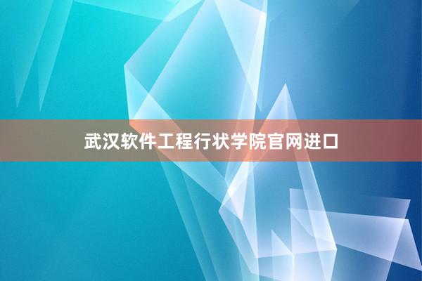 武汉软件工程行状学院官网进口