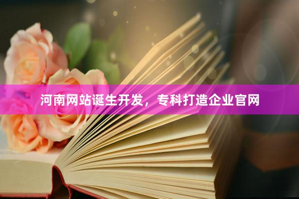河南网站诞生开发，专科打造企业官网