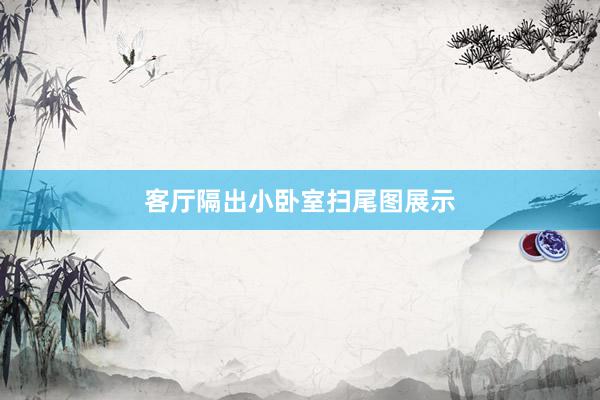 客厅隔出小卧室扫尾图展示