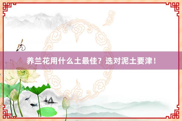 养兰花用什么土最佳？选对泥土要津！